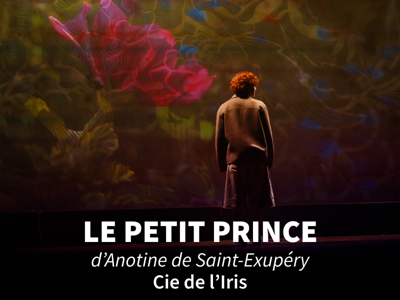 le petit prince