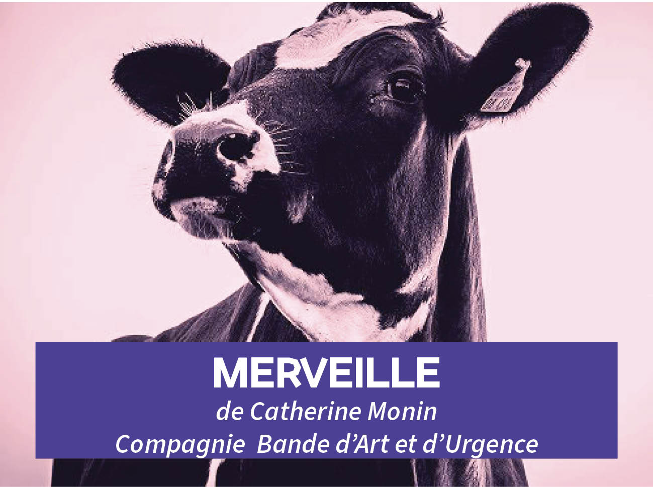 Merveille